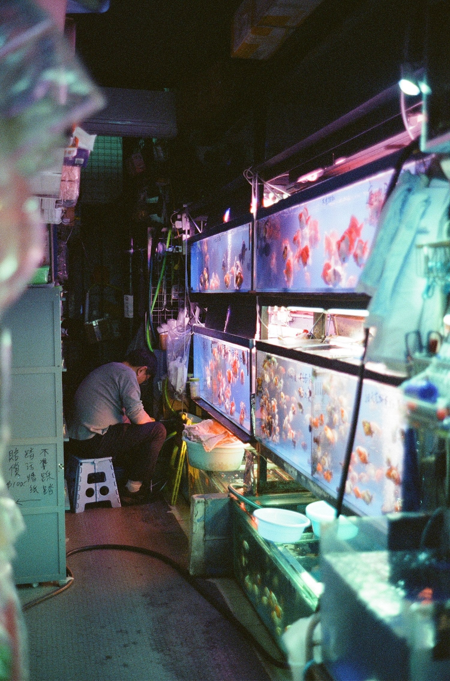 Street filled with buses at night, captured on MISO 400 high grain film.